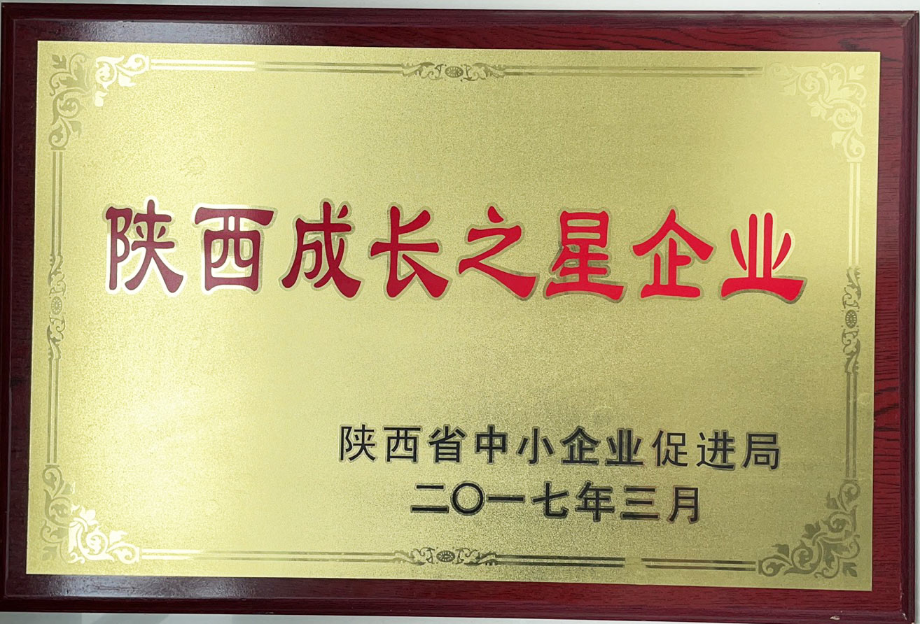 陕西成长之星企业